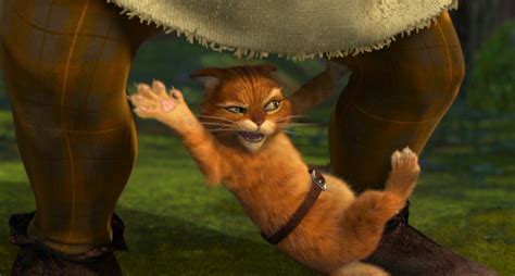 Image Puss In Boots Attacking Shrek Dreamworks Animation Wiki