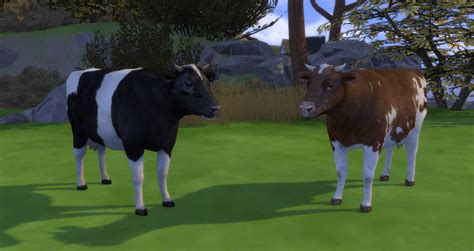 Dravenxivs Sims 4 Cc — Tw3 Cow