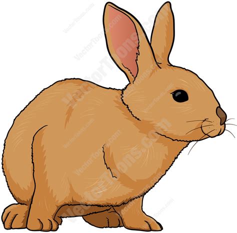 Cartoon Rabbits Images Free Download On Clipartmag