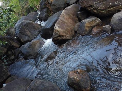River Stream Water Passing Through Rocks In Indian Forest Wildlife