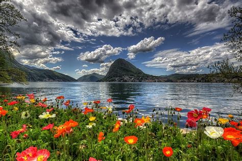 Scenery In Switzerland Lake Flowers Sky Nature Hd Wallpaper Peakpx