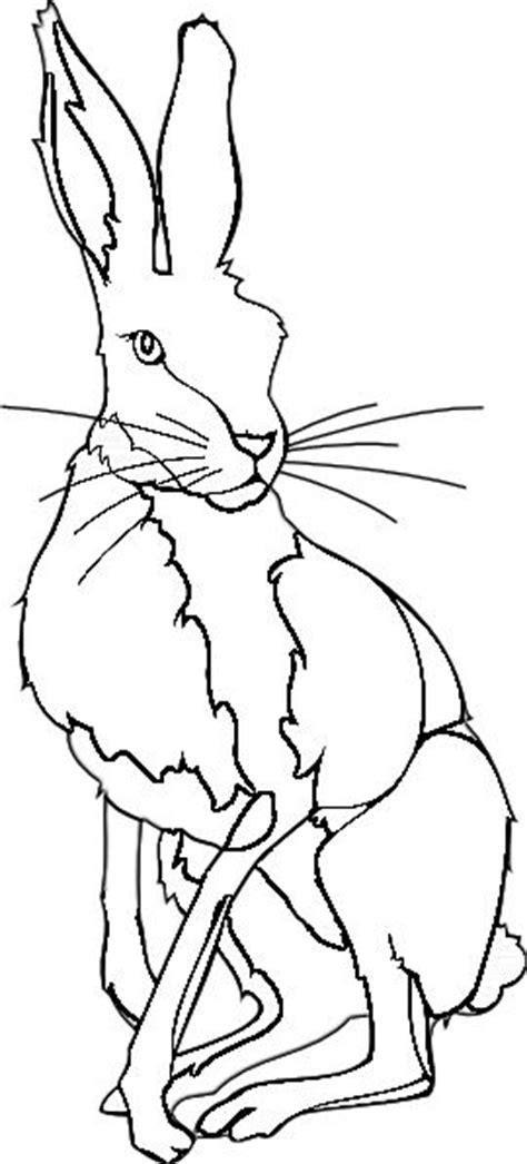 bunny coloring pages ideas  pinterest easter coloring pages easter coloring