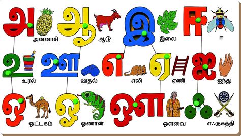 Buy Stonkraft Preschool Learning Toys Tamil Tamizh Vowels With