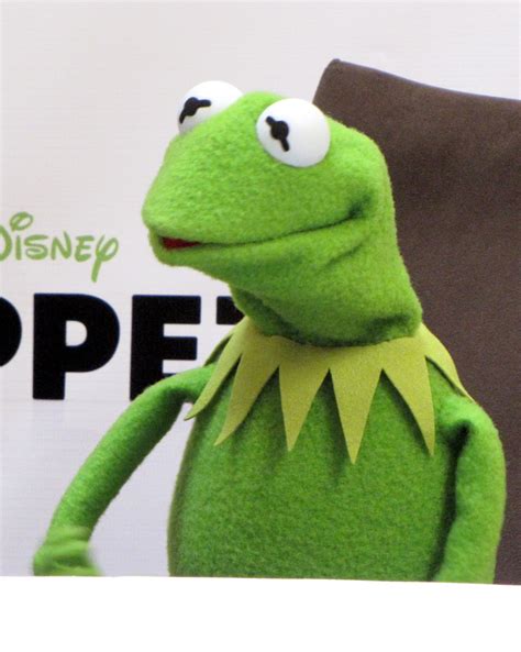 Good Kermit The Frog Quotes Quotesgram