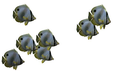 130 Best Free Cartoon Fish Transparent Duper