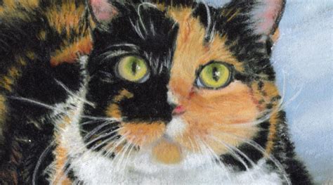 Commissioned Portrait Archives The Creative Cat