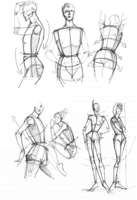 Female Upper Body Drawing Reference Female Body Reference Drawing At
