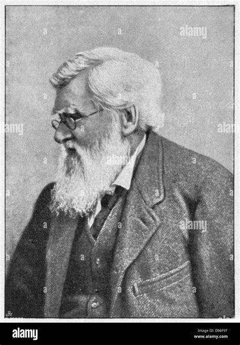 Alfred Russell Wallace 1823 1913 C1895 Welsh Naturalist Whose Memoir