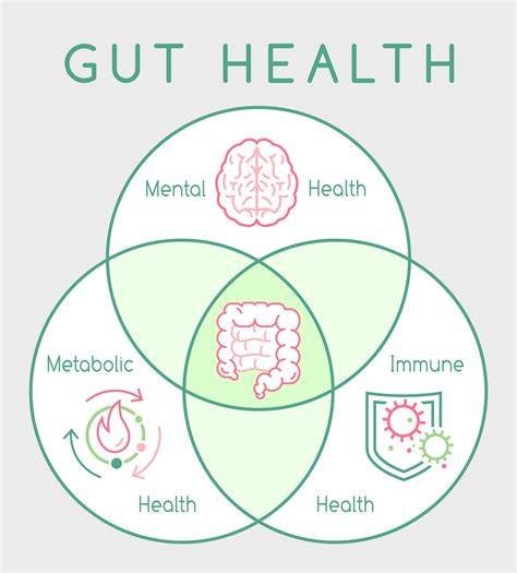 Gut Microbiome Research And The Health Food Industry • Paleo Foundation