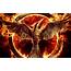 The Hunger Games Mockingjay  Movies Wallpapers 2560x1600