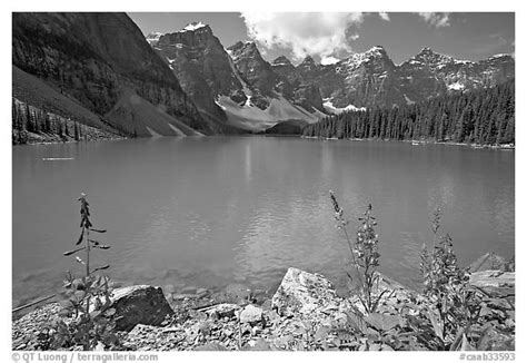 Black And White Picturephoto Fireweed And Turquoise Waters Of Moraine