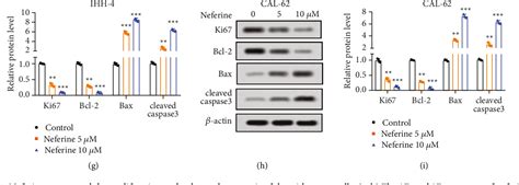 PDF Neferine Exerts Ferroptosis Inducing Effect And Antitumor Effect