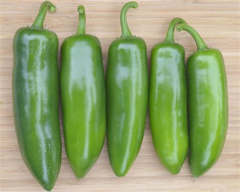 Fooled You Jalapeno Hybrid Hot Pepper Seeds — Seeds N Such