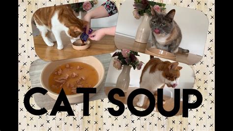Check spelling or type a new query. CAT SOUP!! My cats love this new cat food in the UK - YouTube