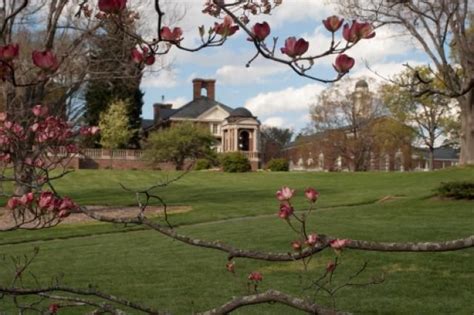 Learn About Sweet Briar College And What It Takes To Get In Sweet