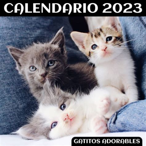 Buy Gatitos Adorables Io Del 2023 Io De España 2023 Io Español De