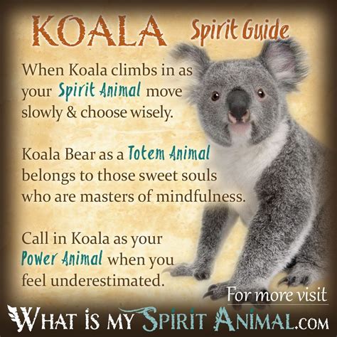 Koala Bear Spirit Totem And Power Animal Symbolism And Meaning What Is