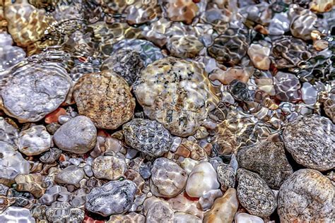 Multicolored Pebbles Stock Image Image Of Ripples Season 91513623