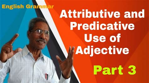 Attributive And Predicative Use Of Adjective Part 3 Vps Youtube