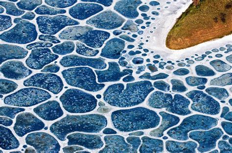 Spotted Lake Canada Bing Wallpaper Download