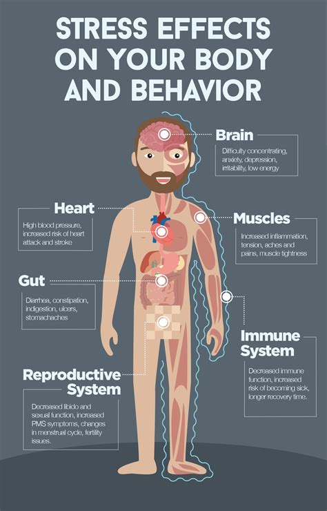 Infographic How Stress Affects The Body