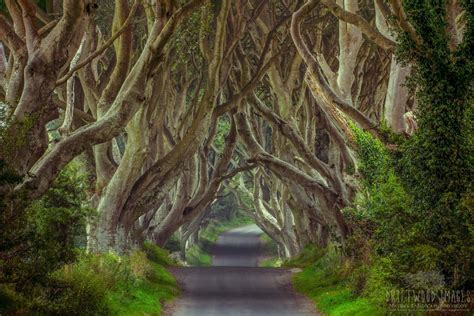 The Fantastic Real Life Filming Locations Of Game Of Thrones Can