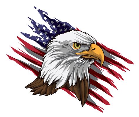 Patriotic Bald Eagle Head Stars And Stripes Flag Art Print By