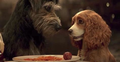 Disneys Lady And The Tramp Live Action Film Trailer Has Dropped