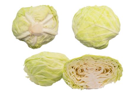 Wombok Cabbage Stock Photos Pictures And Royalty Free Images Istock