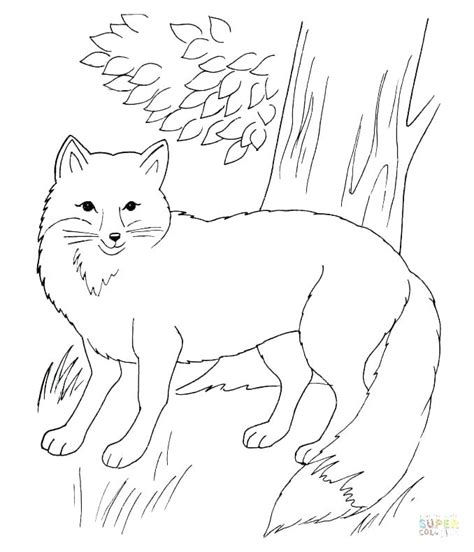 Arctic Fox Easy Coloring Pages