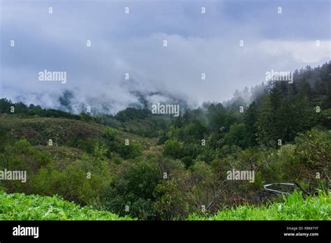 Fog Rolling Over Hills And Valleys California Stock Photo Alamy