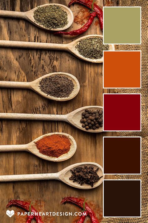 earthy spices on wood spoons color palette earth tone color palette earth colour palette red