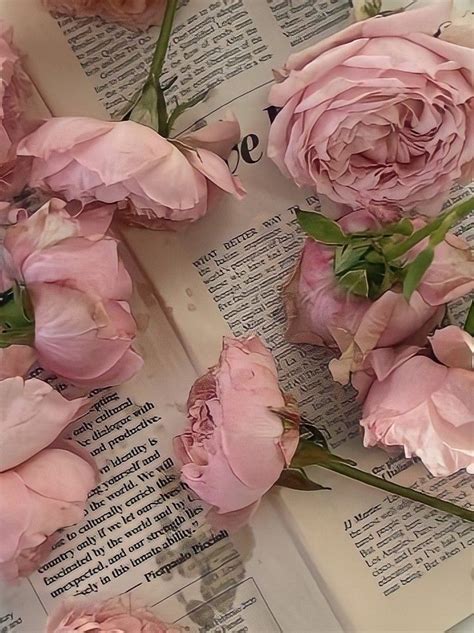 Pretty Flowers Pretty In Pink Pink Flowers Pastel Pink Aesthetic