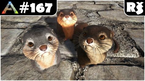 Where to find otters in ark the island. ARK: Survival Evolved #167 - Vydry (Ochočení - Otter L16 ...