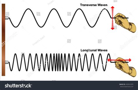 Transverse Wave Images Browse 775 Stock Photos And Vectors Free Download