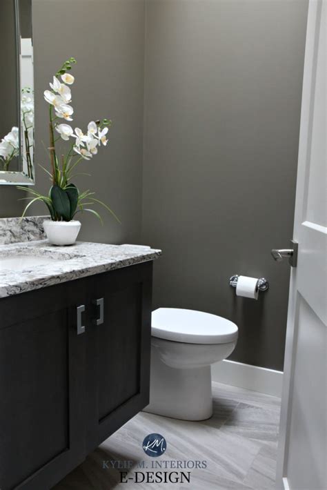 Small Bathroom Powder Room In Sherwin Williams Anonymous With Quartz