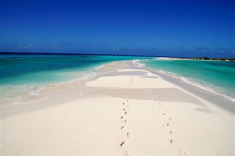 Cayo De Agua One Of The Most Beautiful Beach You Must Visit In