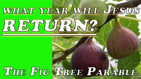 What Year Will Jesus Returnfig Tree Parable Youtube