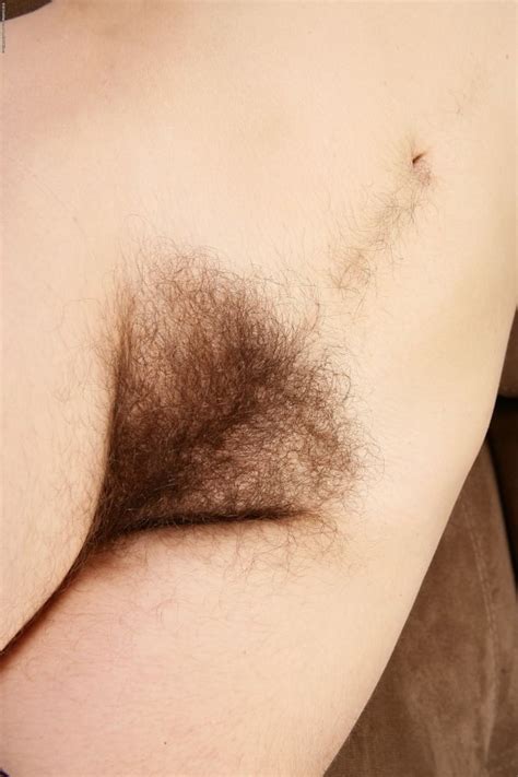 Hairy Belly Treasure Trail Hair Pics Xhamster Hot Sex Picture