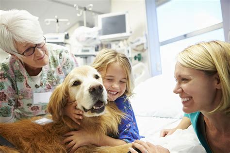Animal Assisted Therapy And Children Harbor Psychiatry And Mental Health