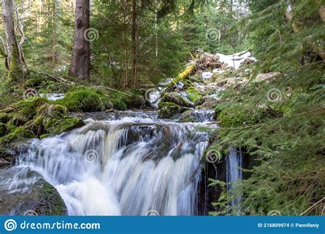 Cascade Falls Over Mossy Rocks Stock Photo Image Of Background