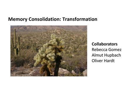 Ppt Memory Consolidation Transformation Powerpoint Presentation