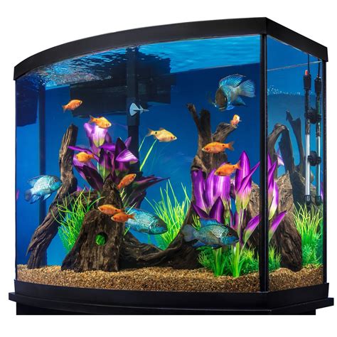 50 Gallon Fish Tank Petsmart Ape Aquarium Fish
