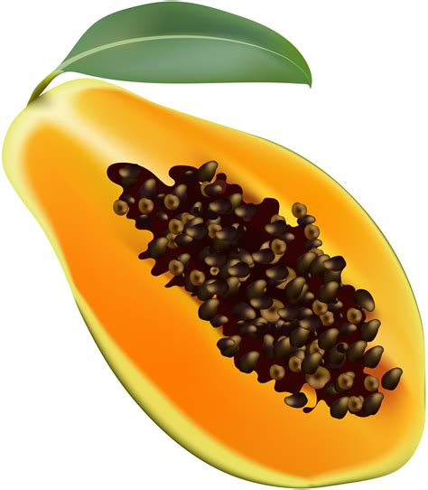 Papaya Clip Art 10 Free Cliparts Download Images On Clipground 2023