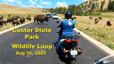 Custer State Park Loop Map My XXX Hot Girl