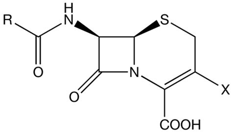 Cephalosporin Wikidoc