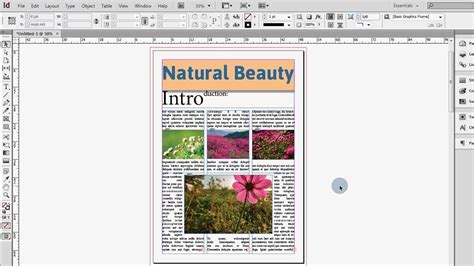 Adobe Indesign Tutorial for Beginners | Indesign Beginners ...
