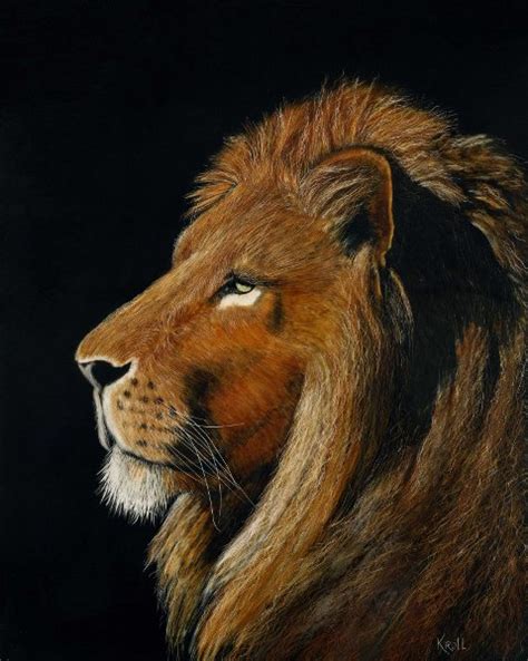 Sue Kroll Scratchboard Art Majestic Lion