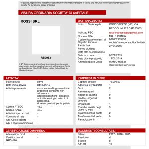 Visura Camerale Storica Registro Visure