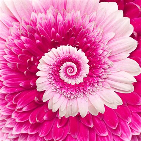 Find over 100+ of the best free flower gift images. Happy Loop GIF by Feliks Tomasz Konczakowski - Find ...